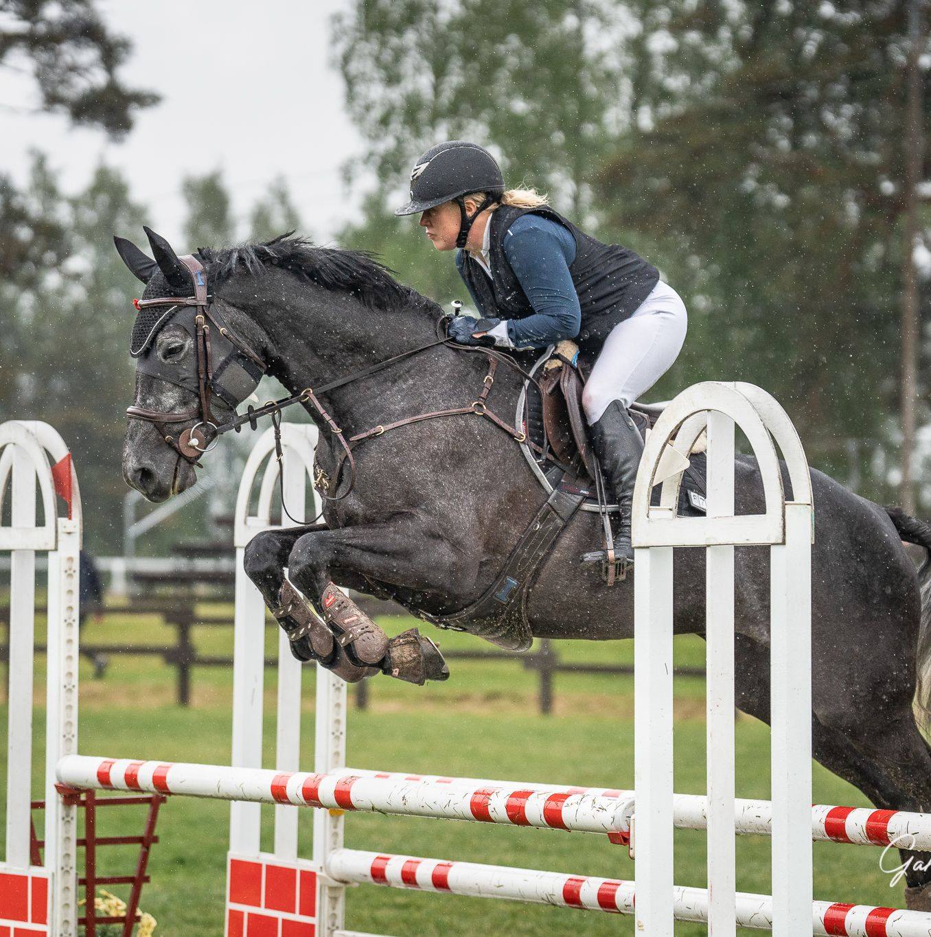 Anna Viljakka ja Viva la Diva